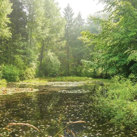 In * Schieder-Schwalenberg