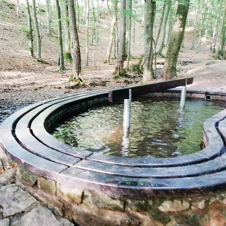 In Daire Schieder-Schwalenberg