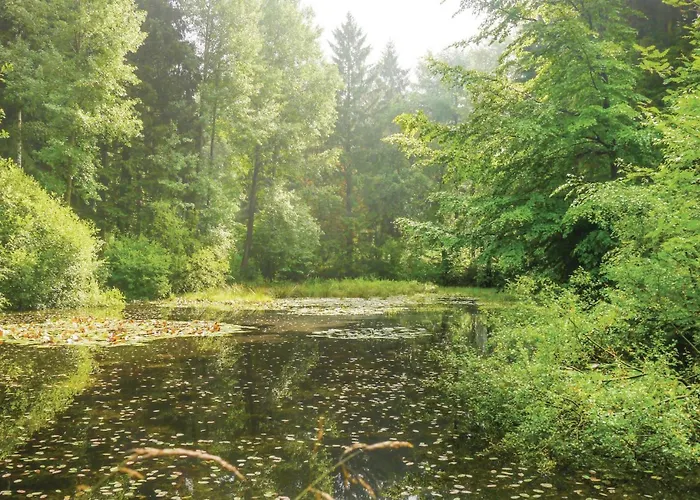 In * Schieder-Schwalenberg