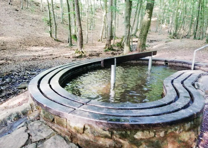 In Appartement Schieder-Schwalenberg